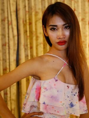 Hello LadyBoy - 24 year old skinny Thai gets fucked and sucks tourists cock
